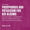 image:imageBotanicare CalMag Plus A Calcium Magnesium and Iron Plant Supplement Corrects Common Plant Deficiencies Add to Water or Use as a Spray 200 NPK 1GallonBloom