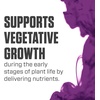 image:imageBotanicare Liquid Karma Supplemental Nutrient 010105 1 qt1Quart