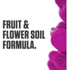 image:imageBotanicare Pure Blend Pro Bloom Soil Nutrient for Fruit and Flowers 145 1 gal1 quart