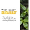 image:imageBotanicare Silica Blast Plant Supplement 0005 1 gal1 quart
