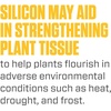 image:imageBotanicare Silica Blast Plant Supplement 0005 1 gal1 quart