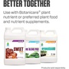 image:imageBotanicare Sweet Raw Supplement for All Phases of Plant Growth 1 gal5 Gallon