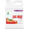 1 quart